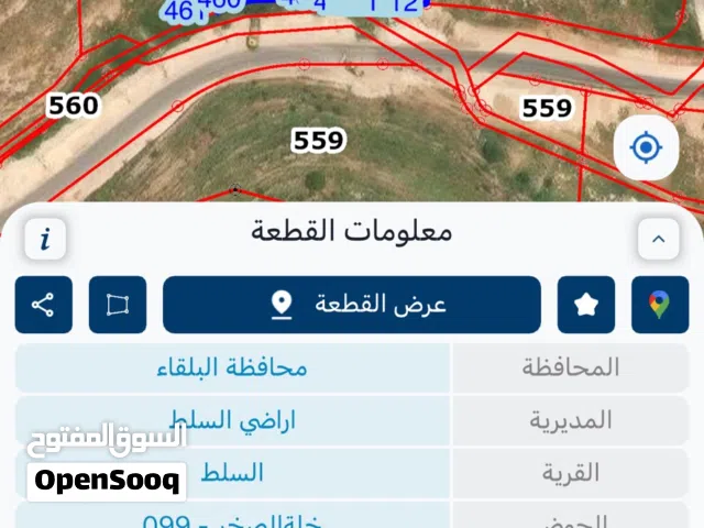 ارض للضمان في منطقة خلة الصخر بالسلط مميزة على الشارع الرئيسي شارع وادي حادي