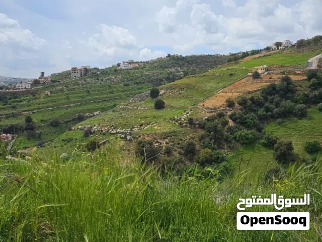 أرض للبيع في الرباحية الجنوبية (دابوق) إطلالة خلابه - قابل للبدل