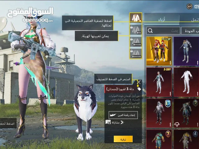حساب ببجي للبيع