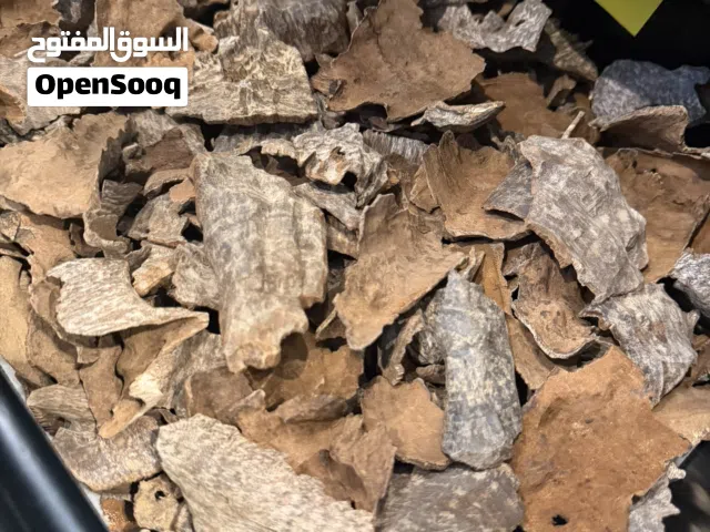 بخور للبيع نوادر وشي طيب