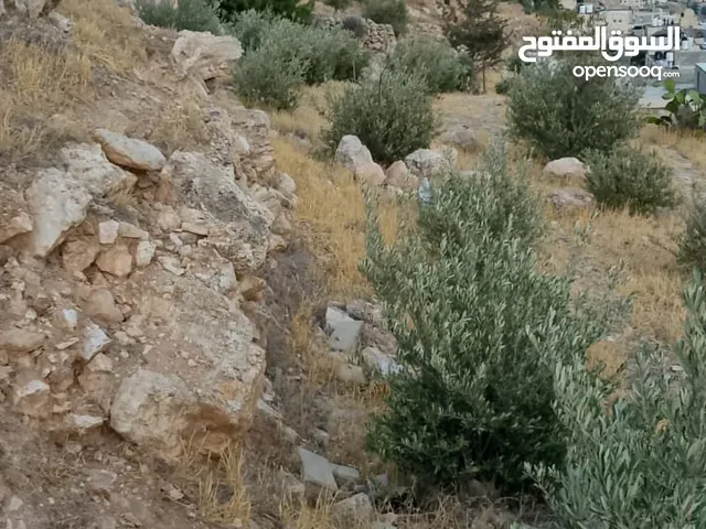 قطعتين أرض طابو قطعة 580 وقطعة 500