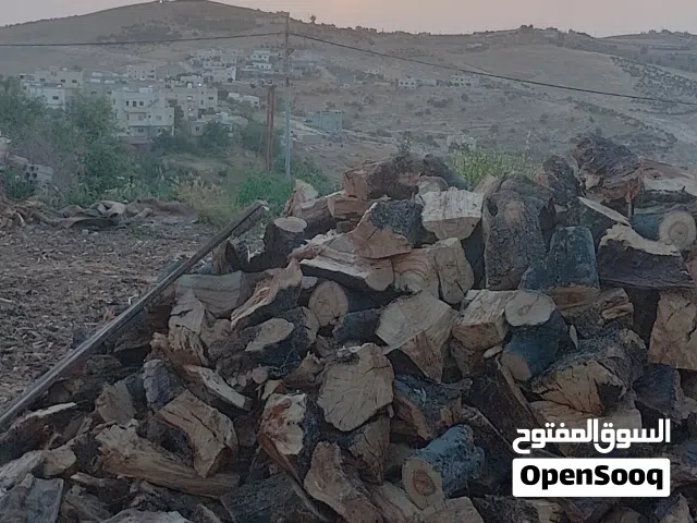 حطب زيتون مادبا