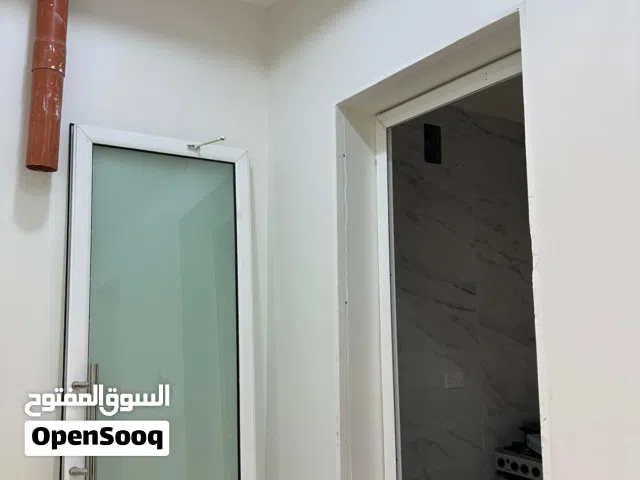 Aluminum Door  250*90cm