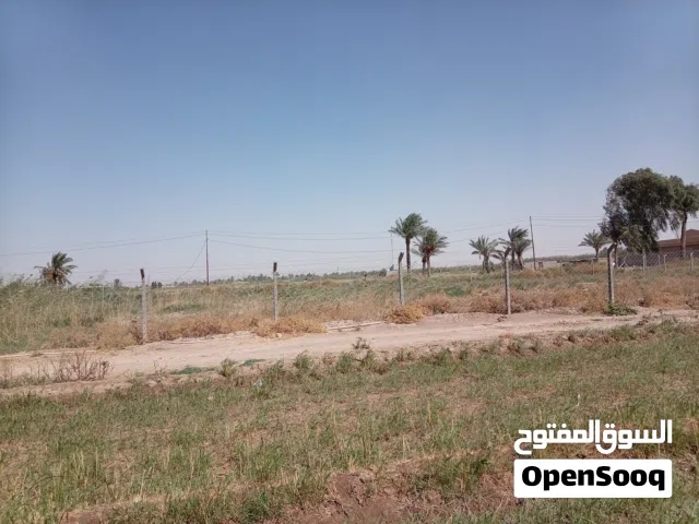 Farm Land for Sale in Baghdad Rusafa