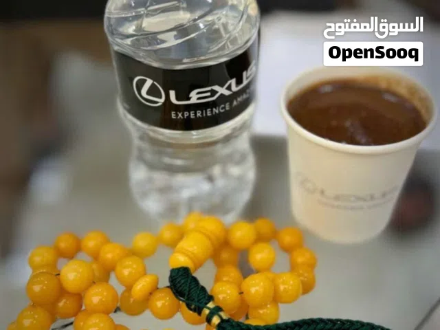 كهرب بولندي