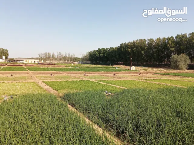 Mixed Use Land for Sale in Al Shamal Other