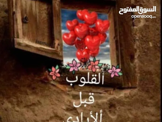 فرن غاز عربي 90 *90 ثلاث رفوف صاج ثقيل تفصيل لم يستعمل سوى مره وغحده
