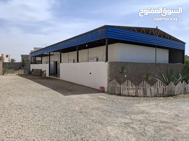 ثلاجات / غرف تبريد وتجميد للأجار
