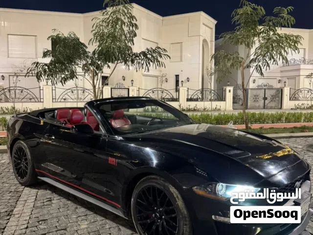 2019 فورد موستانج EcoBoost