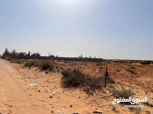 Farm Land for Sale in Sirte Qasr Abu Hadi