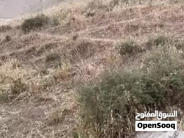 Residential Land for Sale in Nablus Asira Ash-Shamaliya