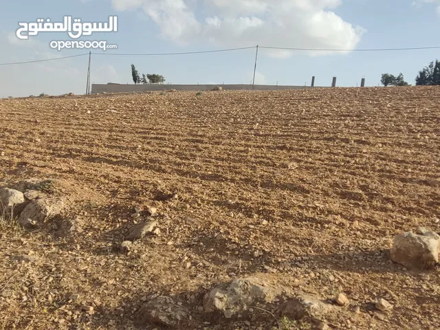 Farm Land for Sale in Amman Jabal Amman