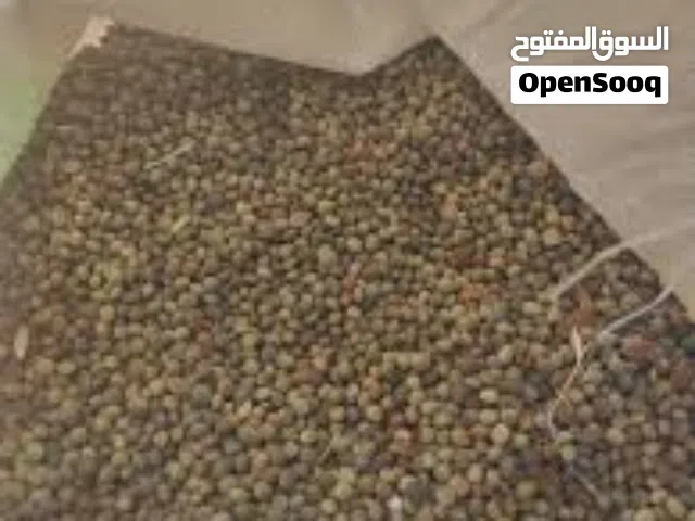يوجد بزر بيقيا ممتاز في نسبة لا تذكر من التراب  الكليو الواحد 65 والله يبارك لصاحب النصيب