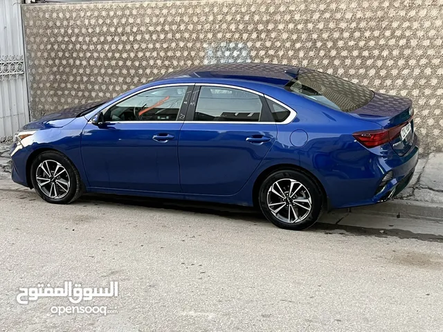 فورتي بدون صبغ