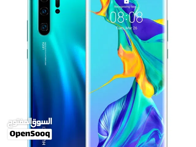 H.WI.p30pro