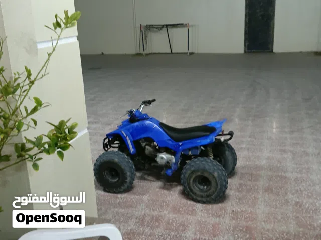 Yamaha Raptor 80 For sale