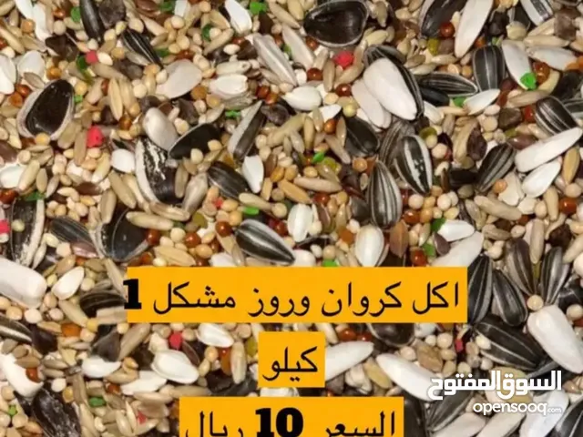 نوفر جميع مستلزمات الطيور (روز، كناري، كروان وجميع طيور بسعر منافس جداً