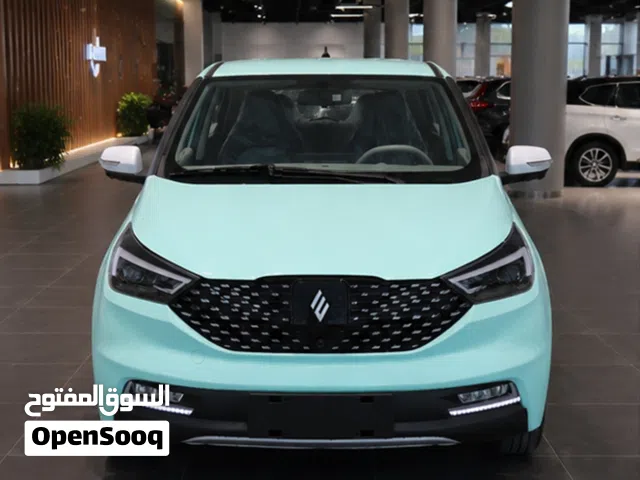 2026 جاي ام اي في EV3