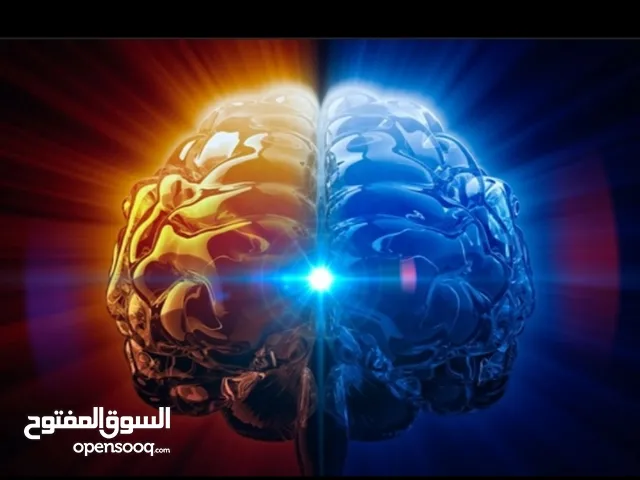 ياسين ابو احمد