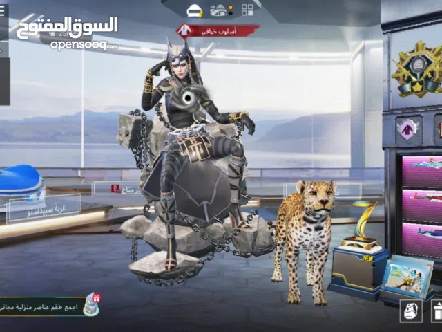 Pubg Accounts and Characters for Sale in Abu Dhabi