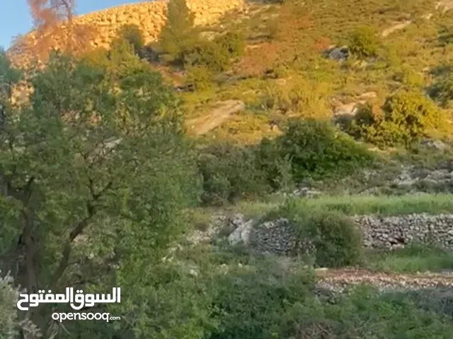 ارض للبيع بسعر مناسب