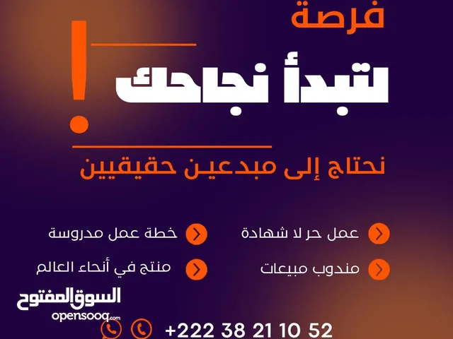 Management courses in Nouadhibou