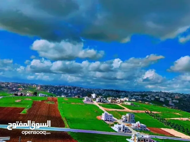 Residential Land for Sale in Amman Marj El Hamam
