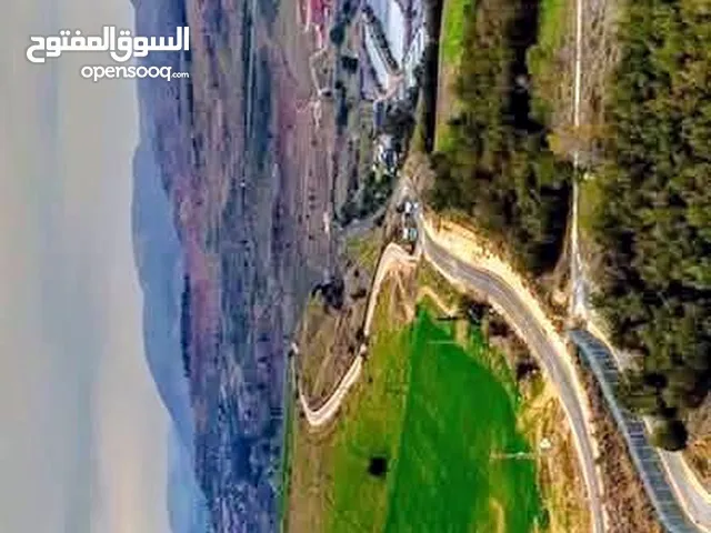 Mixed Use Land for Sale in Irbid Seil Al-Himma