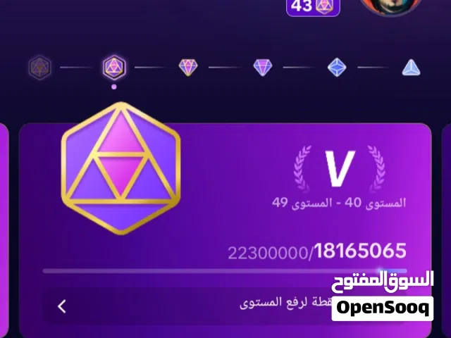 Accounts and Characters for Sale in Jeddah