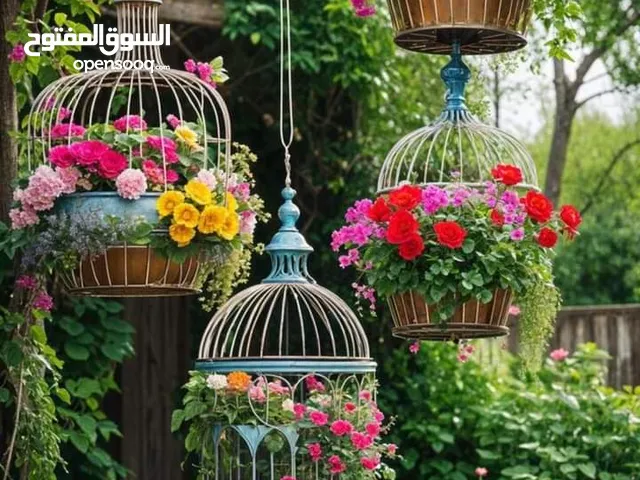 شاب مصري محترم بشتغل حديقه منزل يومي ام شهري