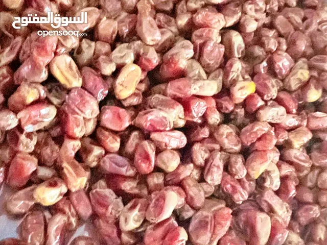 تمر خلاص لذيذ