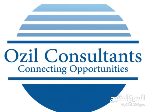 ozil consultants