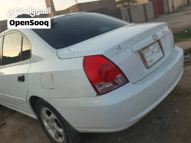 افانتي سحلية قولدن