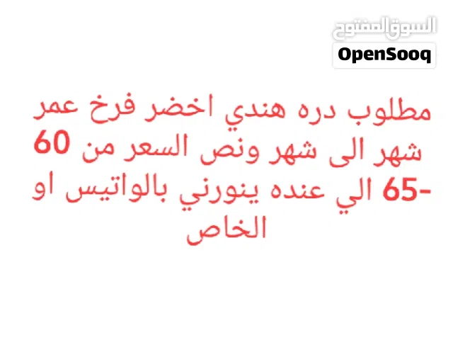 ......  ....اقرا الصوؤه