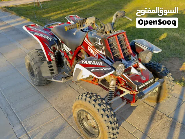 دراجة بانشي 2008