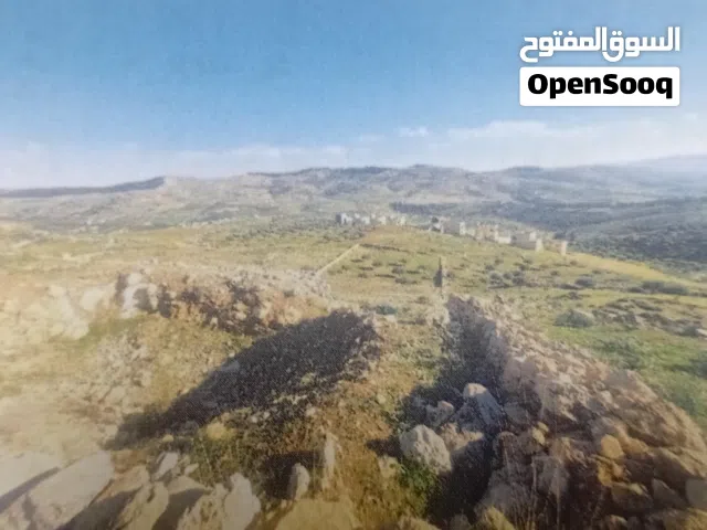 Farm Land for Sale in Jerash Other