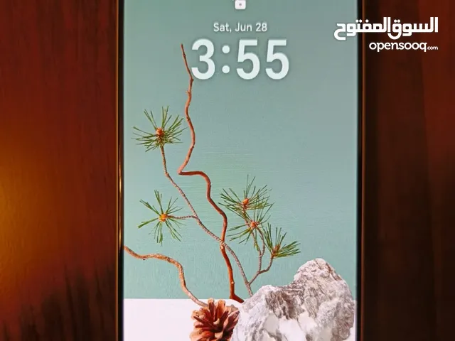 Honor Honor X8 5G 256 GB in Amman