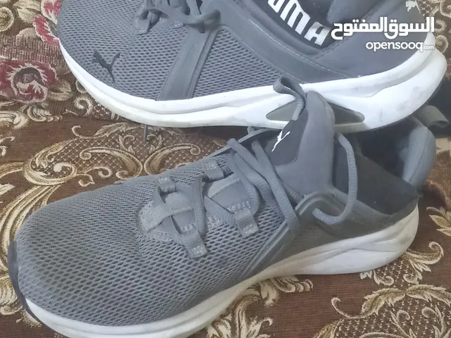43 Sport Shoes in Amman