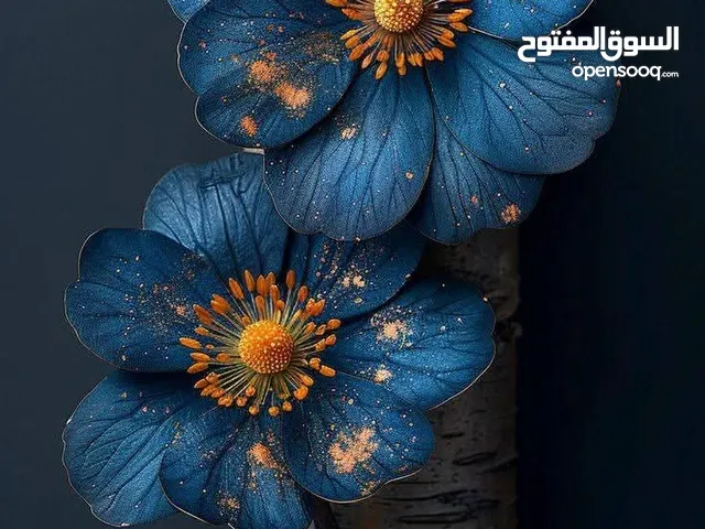 محل للايجار