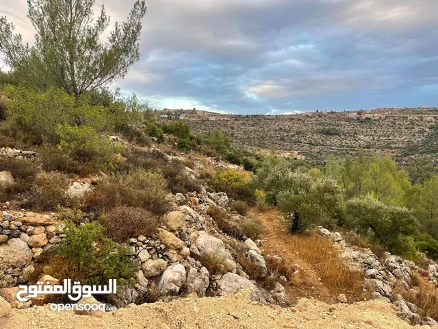 قطعة أرض 875 متر الف طابو سلطة أ