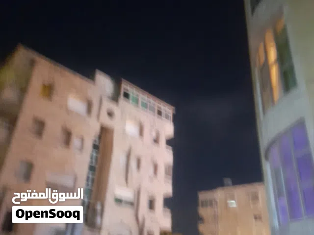 جرو غولدن مكس هاسكي  عمر اربع شهور فقط