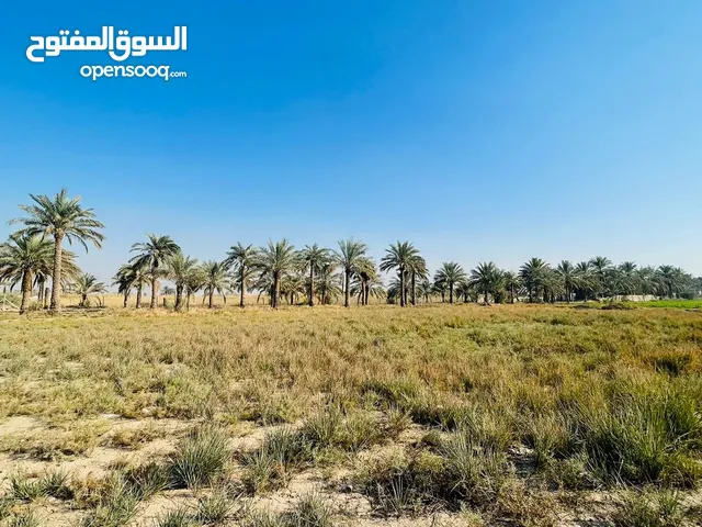 Farm Land for Sale in Baghdad Dora
