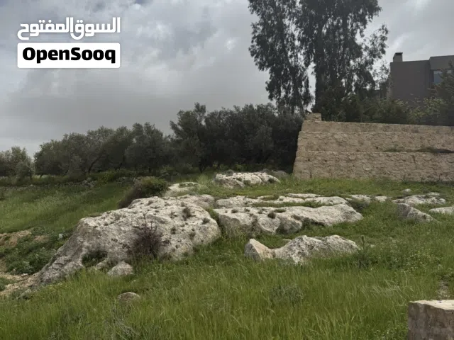 Residential Land for Sale in Salt Al Balqa'