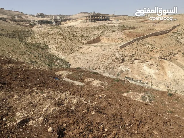 Mixed Use Land for Sale in Bethlehem Dar Salah