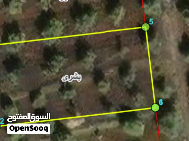 Residential Land for Sale in Irbid Bushra