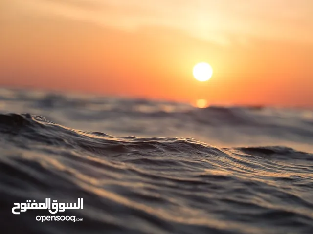 كمية كراتين مياه غير محدوده إلى اكثر من اثنين مليون كرتون