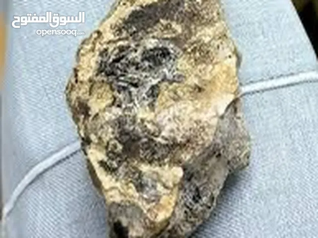 للبيع عنمر حنطي خام