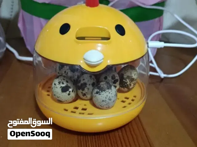 فقاسة بيض دجاج وطيور زينة حجم صغير منزلية سهلة الأستخدام