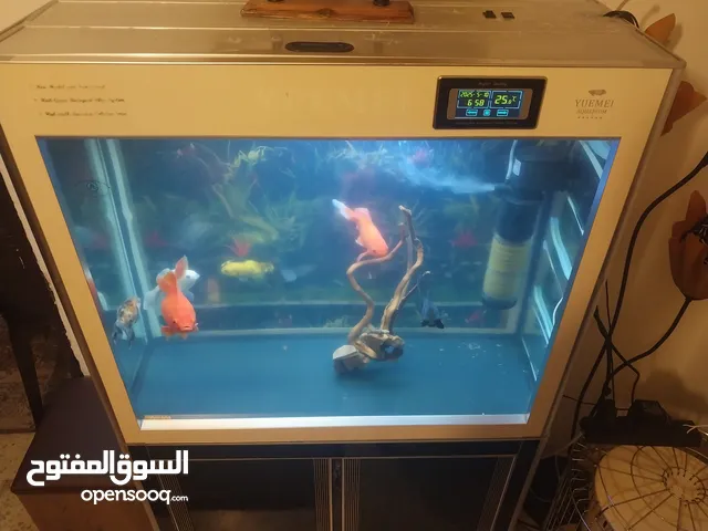 حوض سمك اجنبي مميز