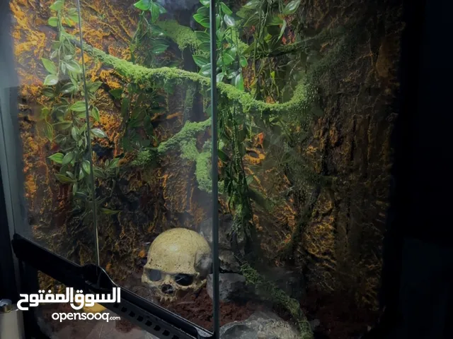 حوض 60x45x45 tank